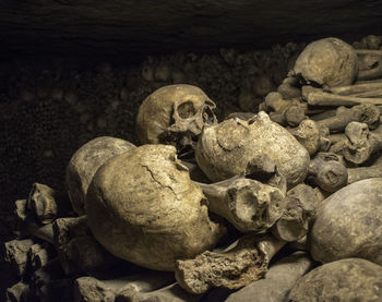 Close-up of human skull