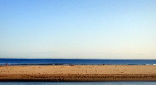 Scenic view of sea against clear blue sky