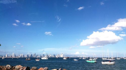 Sailboats moored on harbor against sky