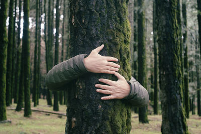 Cropped hand of woman hiding behind tree trunk in forest