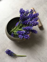 High angle view of purple flowering plants in a bowl on table