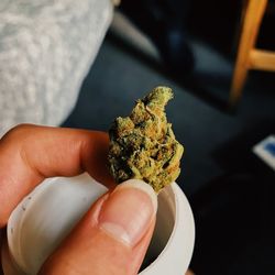 Cropped hand holding marijuana