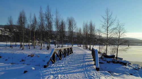 Scenic view of snow covered trees against sky