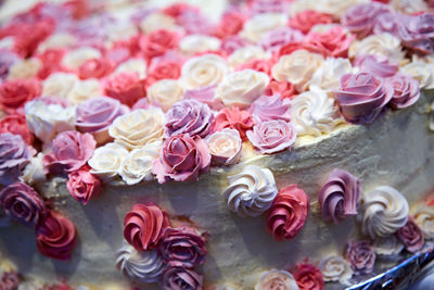 Close-up high angle view of roses