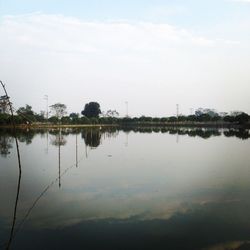 Reflection of trees in calm lake