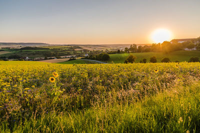 Scenic view of field against sky during sunset