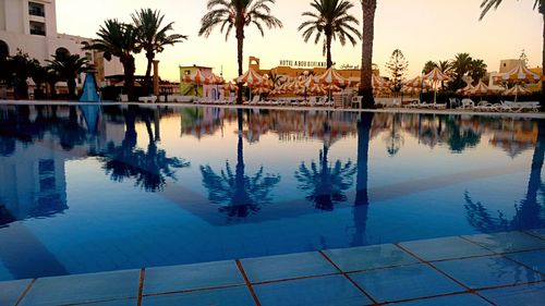 Reflection of palm trees in swimming pool