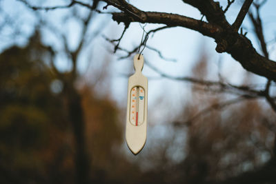 Low angle view of decoration hanging on tree against sky