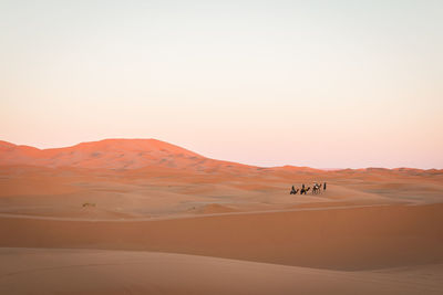 Mid distance of people riding on camels at desert against clear sky