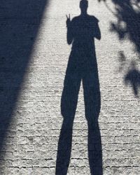 Shadow of people on footpath in city