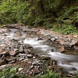 Stream flowing through rocks in forest