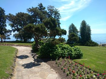 Scenic view of flowering plants by trees against sky