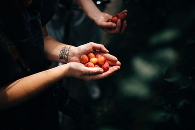 Midsection of man holding fruit