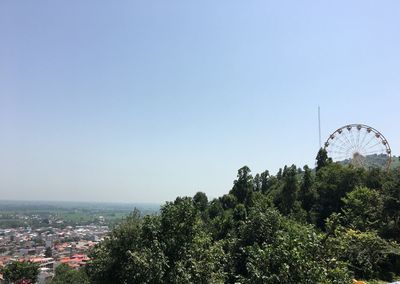 Trees in city against clear blue sky