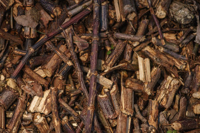 Full frame shot of wood