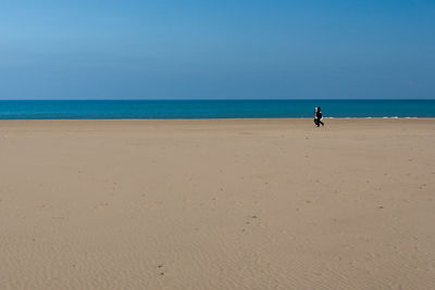 Friends walking on sandy beach against clear sky