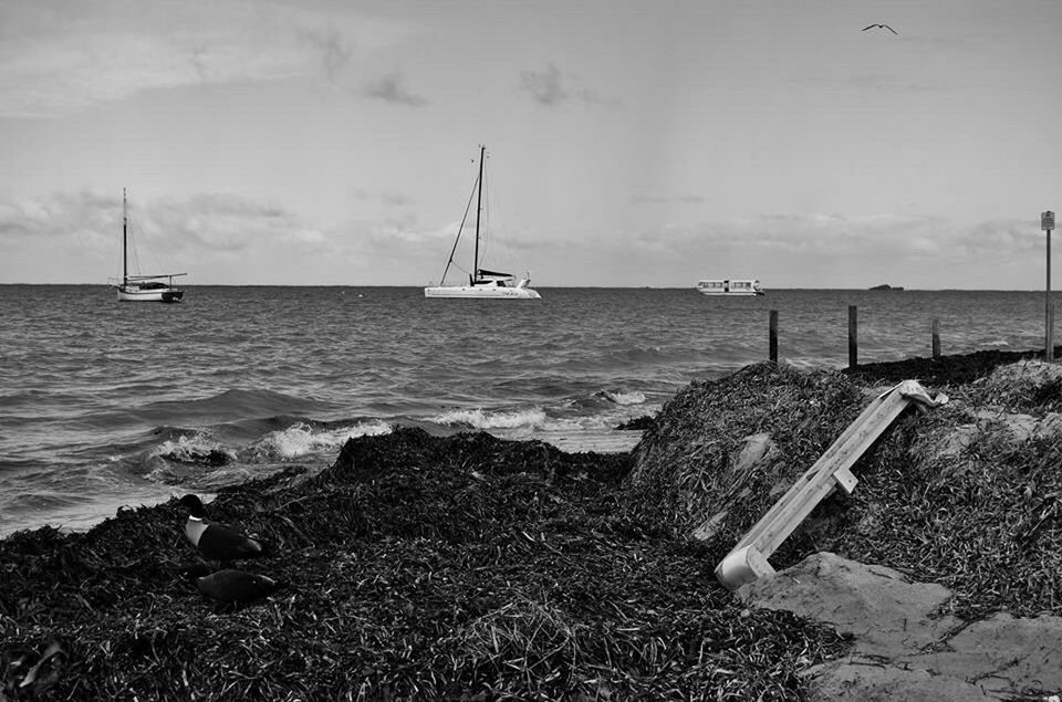 sea, water, horizon over water, nautical vessel, transportation, mode of transport, boat, sky, tranquility, tranquil scene, scenics, shore, nature, beach, beauty in nature, moored, day, outdoors, non-urban scene, idyllic