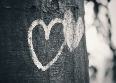 Close-up of heart shape on tree trunk