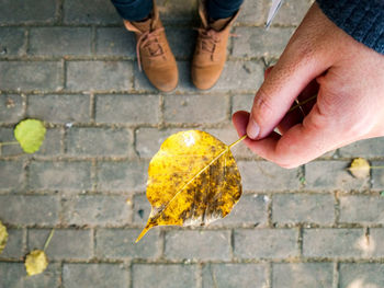 Cropped image of person holding yellow autumn leaf