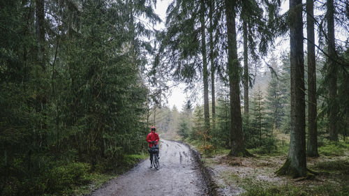 Rear view of woman walking in forest