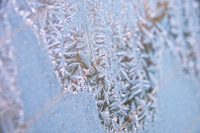 Close-up of frozen window of a car