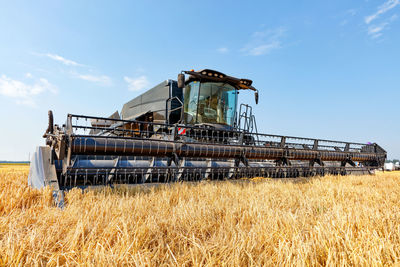 A large harvester during the harvest against the backdrop of a wheat field . low angle shooting. 