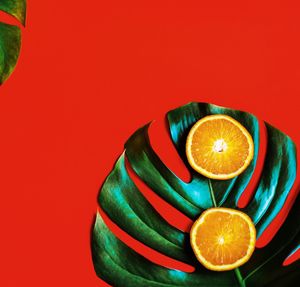 Orange slices with leaf on red table