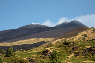 Etna and green wood landscape between lava flows and blue sky - holidays and adventures in sicily.