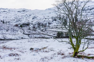 Scenic view of landscape against sky during winter