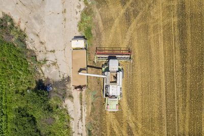 Combine harvester uploads harvest grains to dump truck. harvesting season. agriculture scene. 