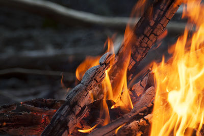Close-up of bonfire at night