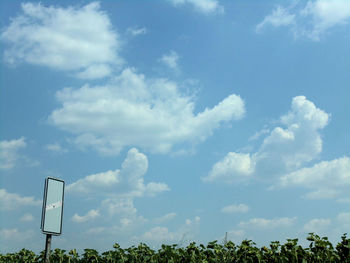 Low angle view of trees against blue sky