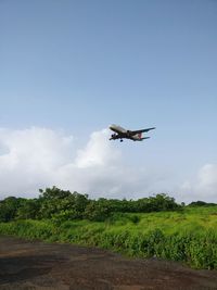 Airplane flying over field against sky