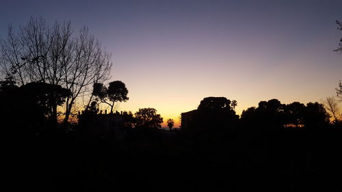 Silhouette trees on field against clear sky during sunset