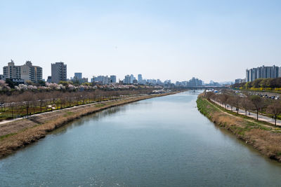 Jungnangcheon stream near jungnang district in seoul, south korea. taken during spring season