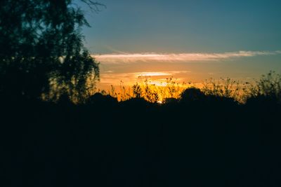 Silhouette trees against sky at sunset