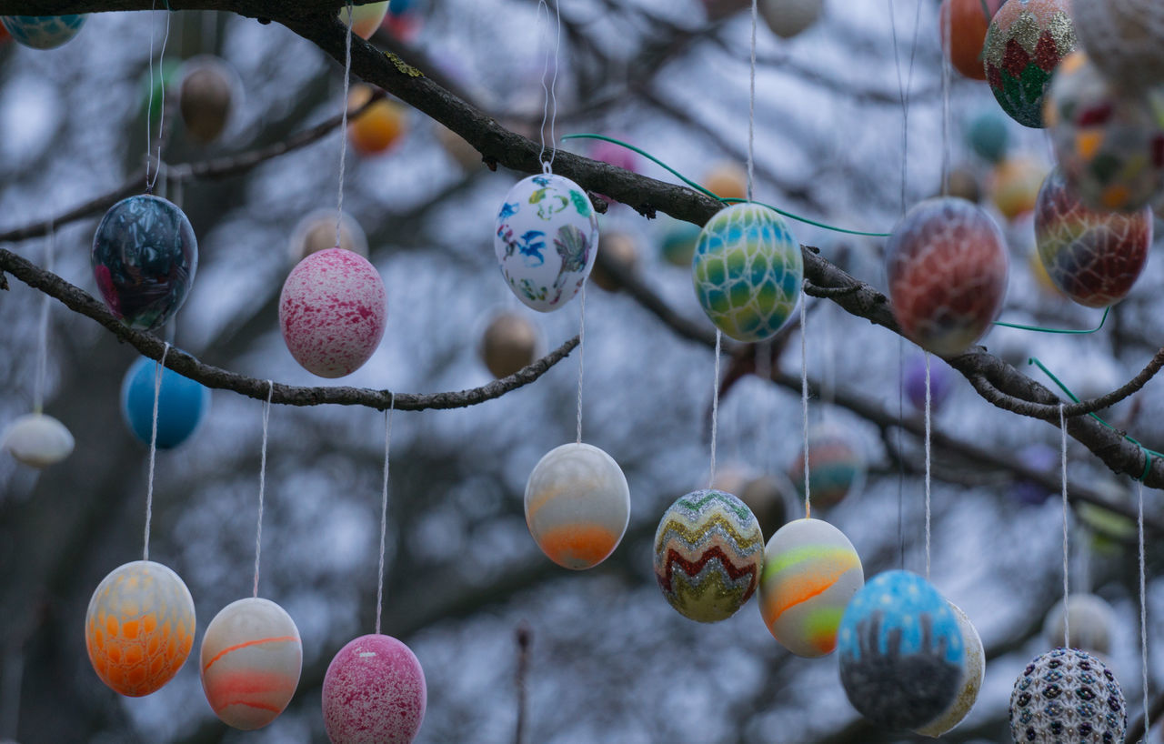 CLOSE-UP OF MULTI COLORED FRUIT HANGING