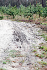 View of road passing through forest