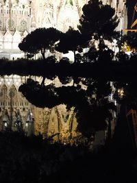 Reflection of silhouette trees in water against sky