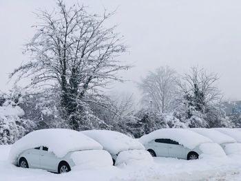 Extreme weather conditions - cars covered in snow during winter