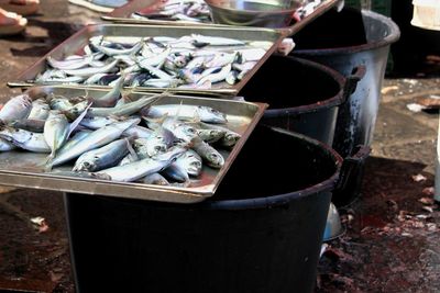 seafood