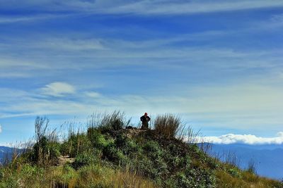 Man standing by plants on land against sky