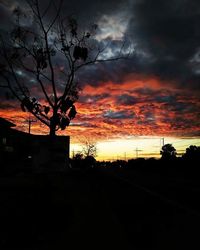 Silhouette trees on landscape against sky at sunset