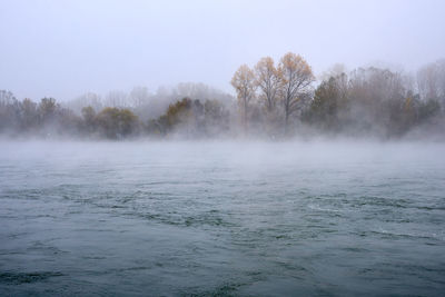 Scenic view of trees by lake against sky