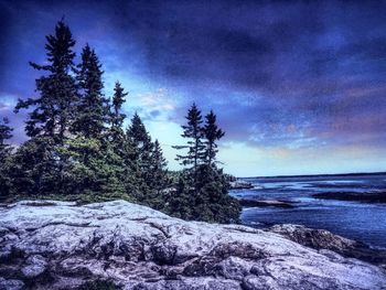 Scenic view of trees against sky