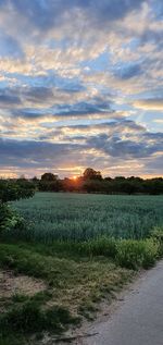 Scenic view of field against sky during sunset