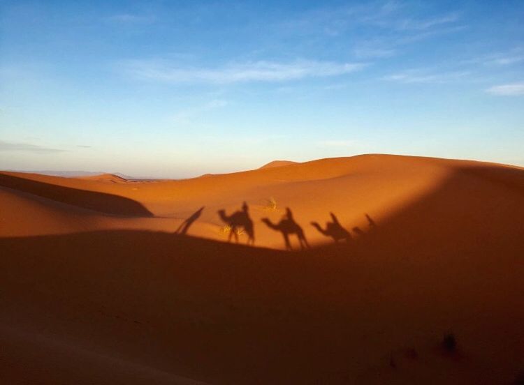 SCENIC VIEW OF SAND DUNES AGAINST SKY