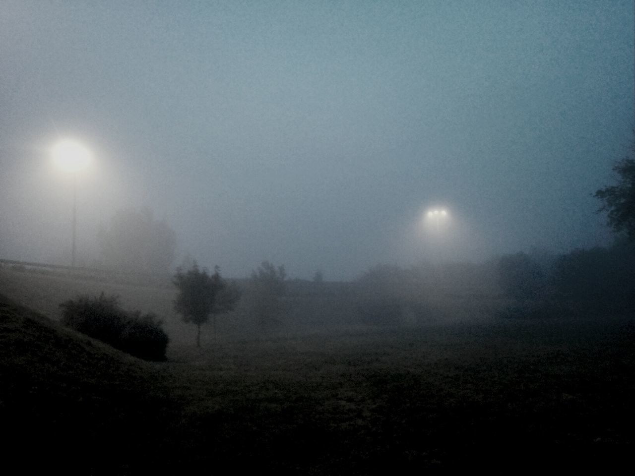 tranquility, tranquil scene, beauty in nature, scenics, fog, landscape, nature, sun, field, weather, sky, foggy, copy space, lens flare, moon, night, tree, silhouette, dusk