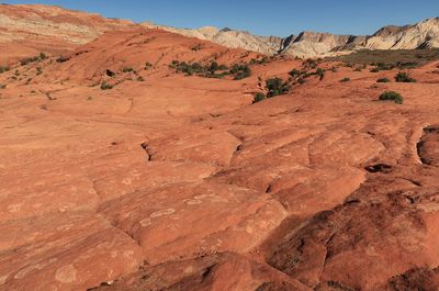 Scenic view of desert