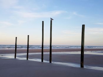 Wooden posts on beach against sky during sunset